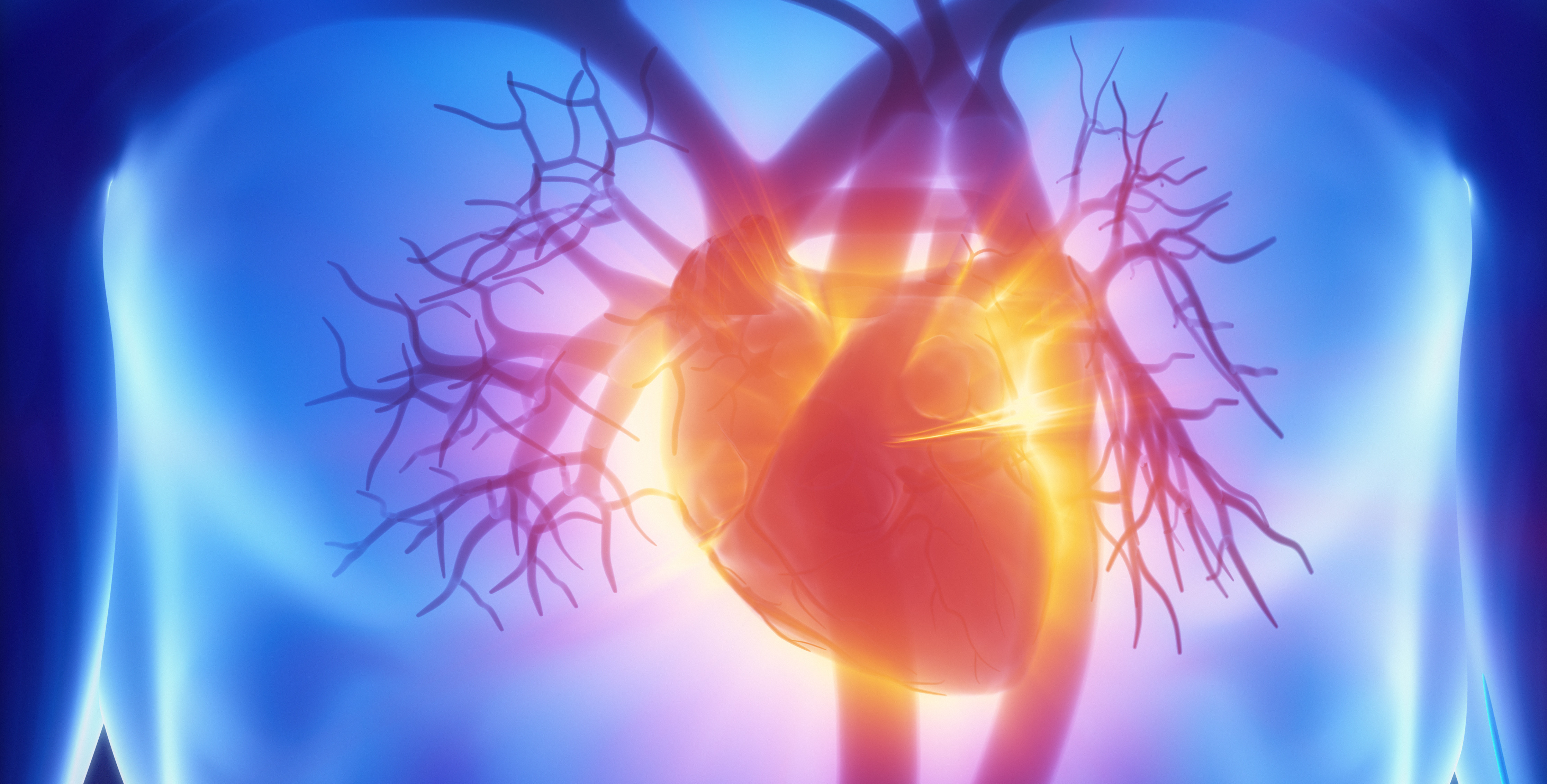 Cardiologia Particular